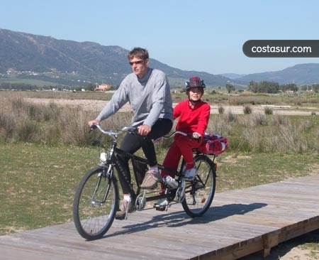 bike-rental-1-2-gallery						