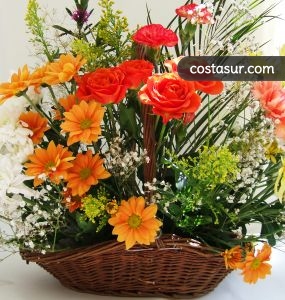flores-tarifa-1-1-gallery						