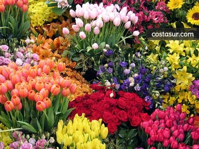 floristeria-mariflor-1-1-gallery