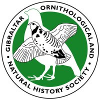 gonhs-1-1-gallery						