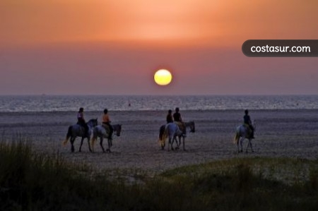 paseos-en-caballo-yeguada-1-2-gallery						