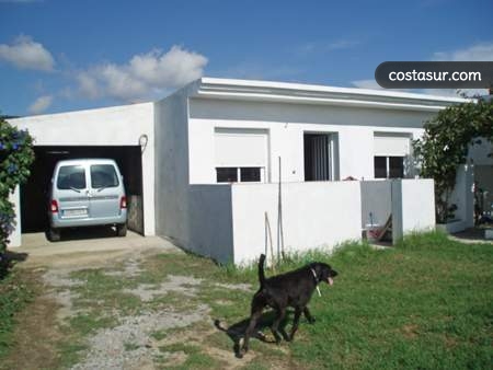 tc0089-1-2-gallery						