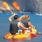 Excursions en kayak + Snorkel