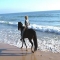  Tarifa