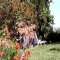 Location maison rurale La Pe�a