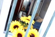 Image Tarifa | Apartment close to Los Lances Beach