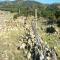 Terrain � Tarifa avec 120 m2 de ruines (tc0014)