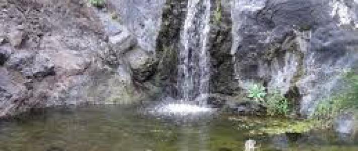 HACER RESERVAS DE APARTAMENTO EN TENERIFE hacer reservas de apartamento en tenerife: