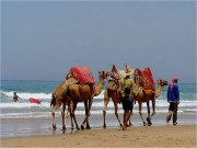  Holidays | 