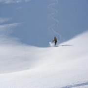 Photo Holidays | 
