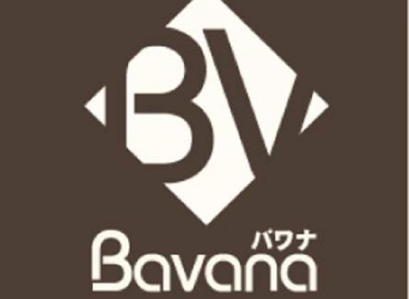 bavana-hotel image