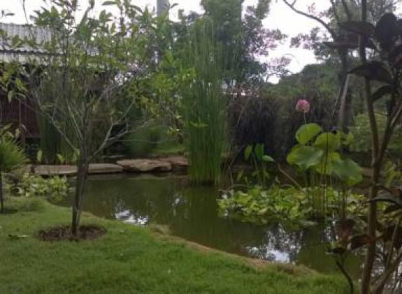 the-frog-khaoyai-resort image