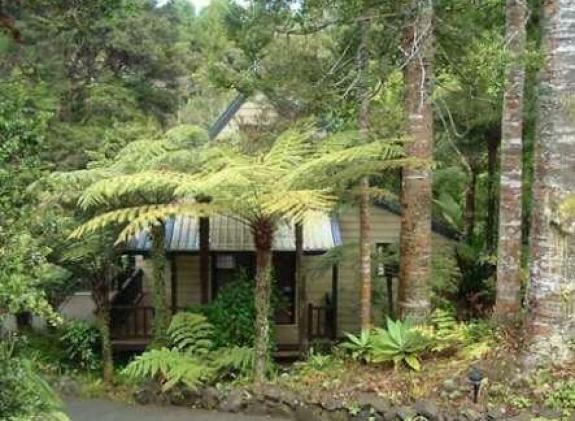 chalet-in-the-fern image