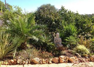 Quinta dos Pinheiros