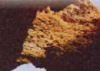 Libro  INSIGHT MAP FLEXIMAP