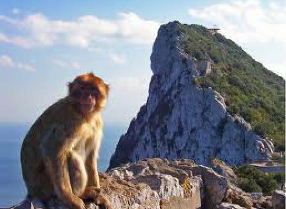 gibraltar-desde-zahara image