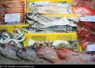 Plaza de Abasto de Zahara