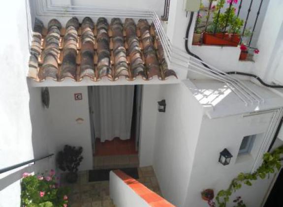 agve01 image