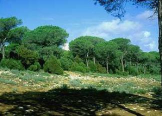 rutas-parque-natural-de-la-brena