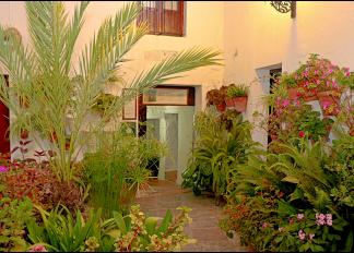 En el corazón del centro histórico