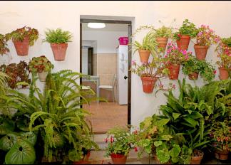 Con bonito patio comunal