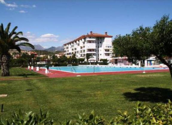 nesi01 image