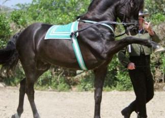 Ritmo a Caballo