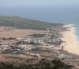 Image 1 of 22