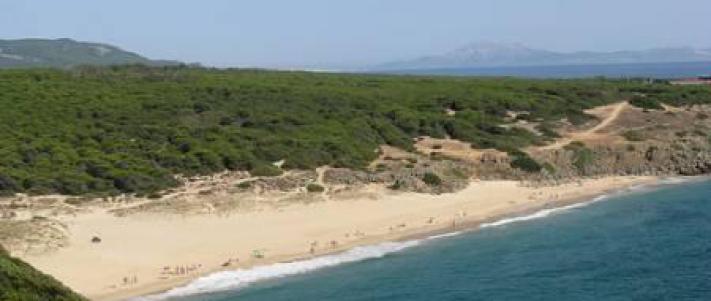 Strand El Canuelo Tarifa Cadiz Costa De La Luz Andalusien