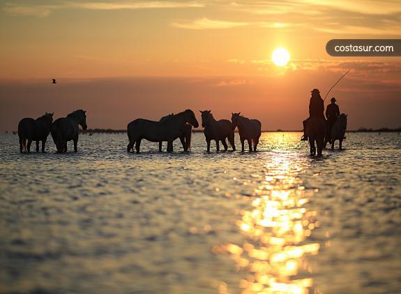 rutas-a-caballo-2 image