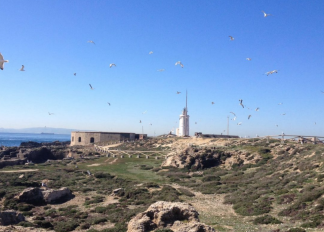 Visita guiada a la Isla de las Palomas