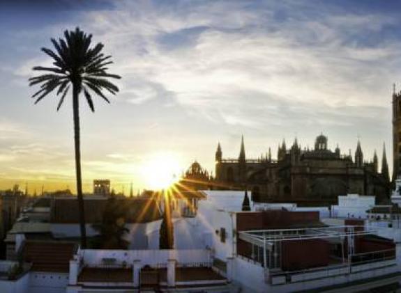 hotel-palacio-alcazar image