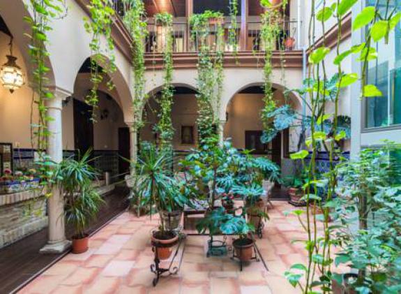 hotel-patio-de-las-cruces image