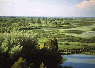 Nationaal Park Doñana