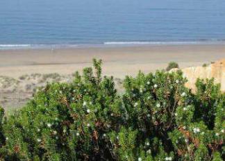 playa-de-mazagon-1