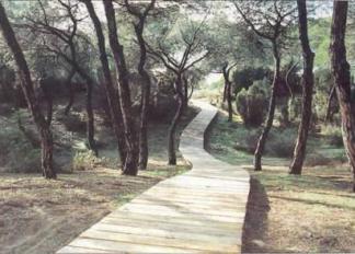 playa-de-punta-umbria-1
