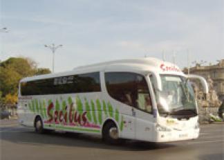 Socibus