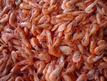 Camarones cocidos preparados para ser degustados. Un aperitivo muy popular en San Fernando.