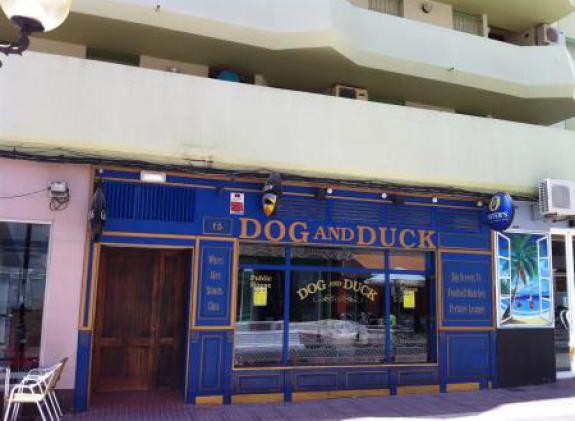 dog-and-duck image