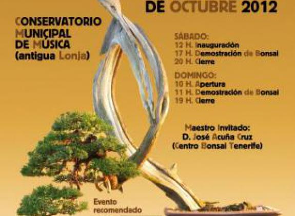 exposicion-de-bonsais image