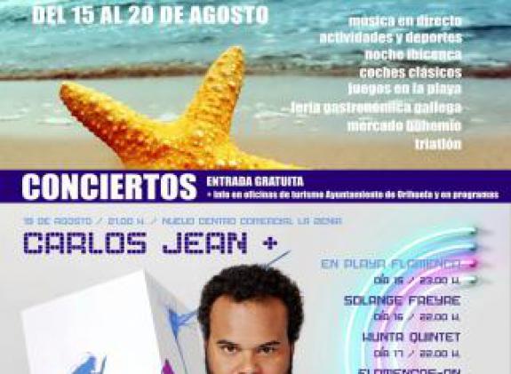 fiestas-de-orihuela-costa image