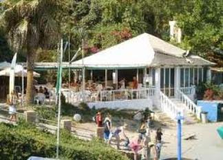 bar-el-papagayo