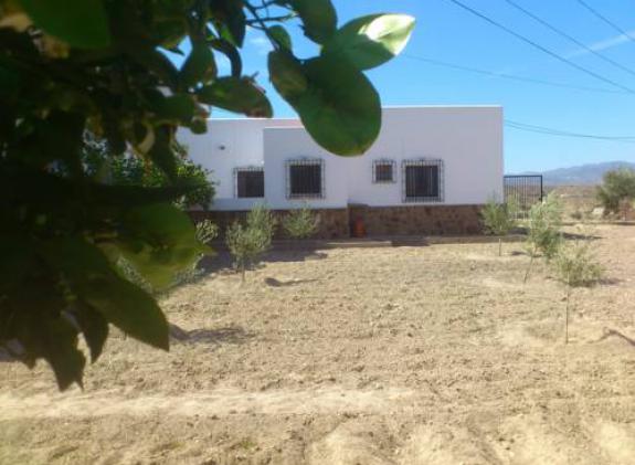 cortijo-zd image