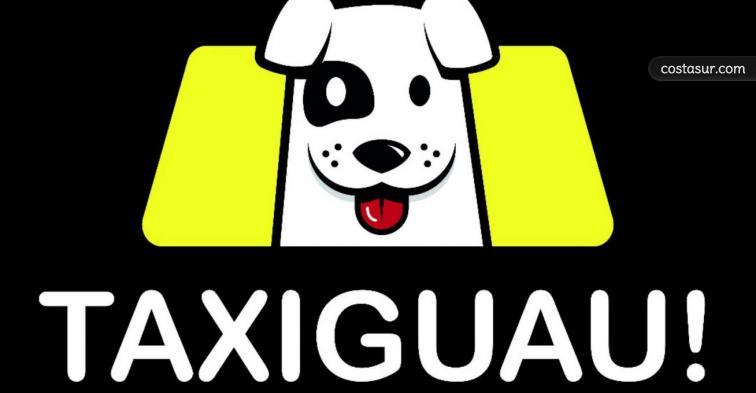 emocionante Sastre Alivio Taxiguau -Taxi para mascotas | Mijas