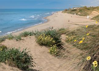 Playa de Artola