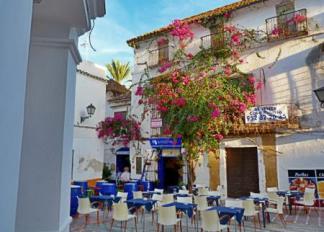 Plaza Altamirano