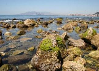 Beach of Baños del Carmen
