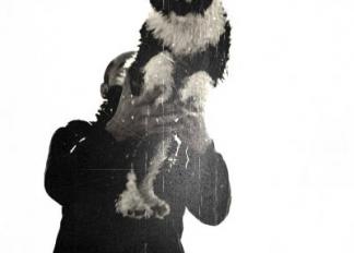 playa-para-perros-malaga