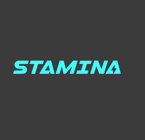 STAMINA Marketing Digital