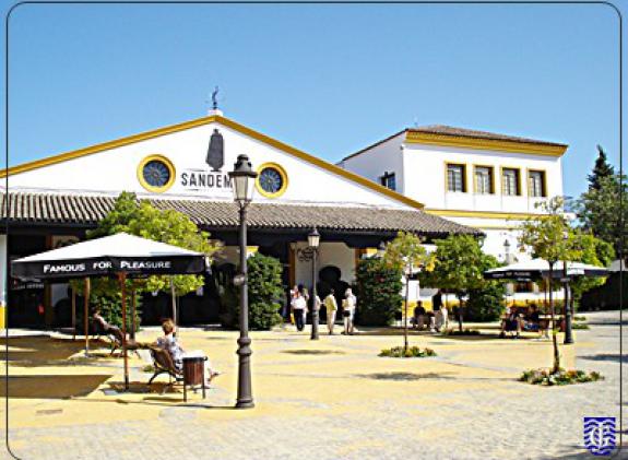 bodega-sandeman image